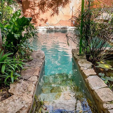 La Selva By Majikal B&B Merida Exterior photo