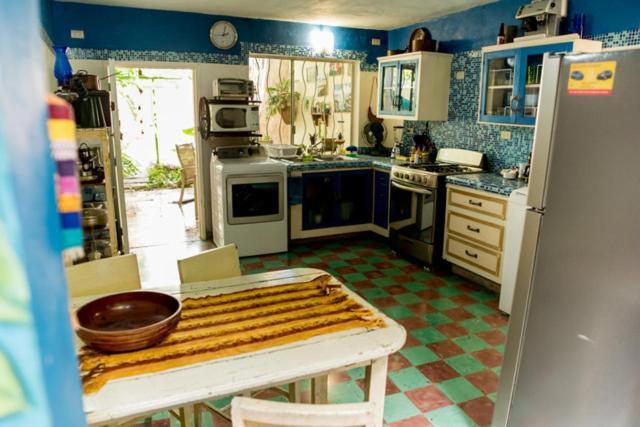La Selva By Majikal B&B Merida Exterior photo